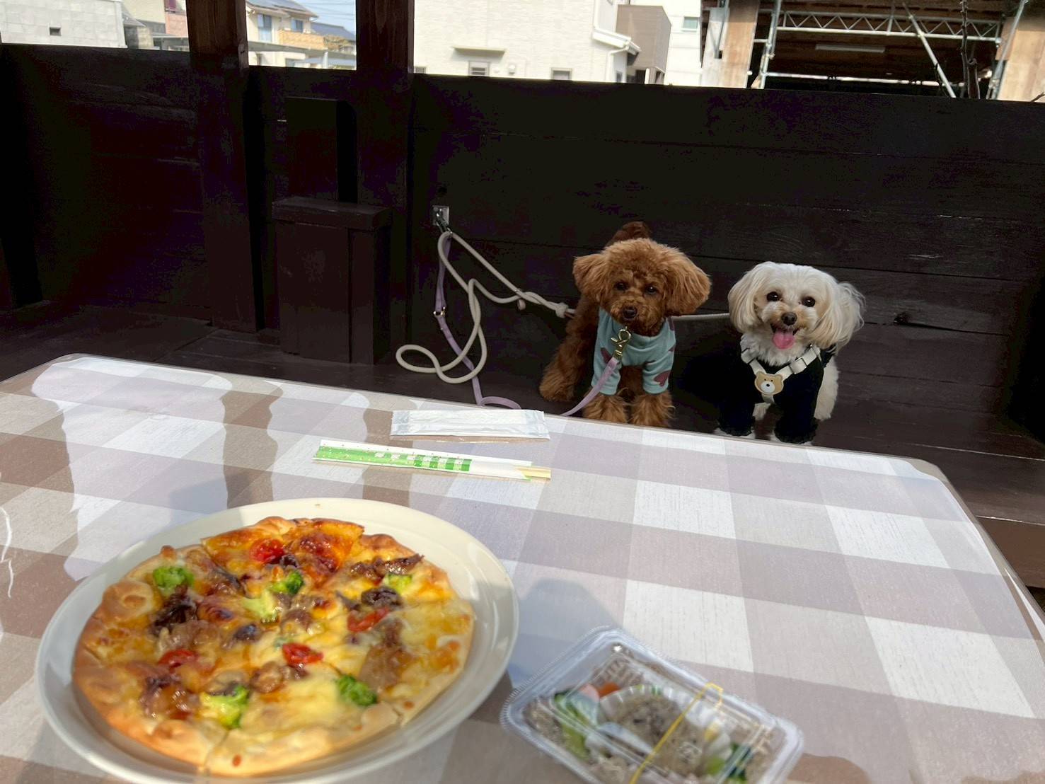 わんことお食事♪