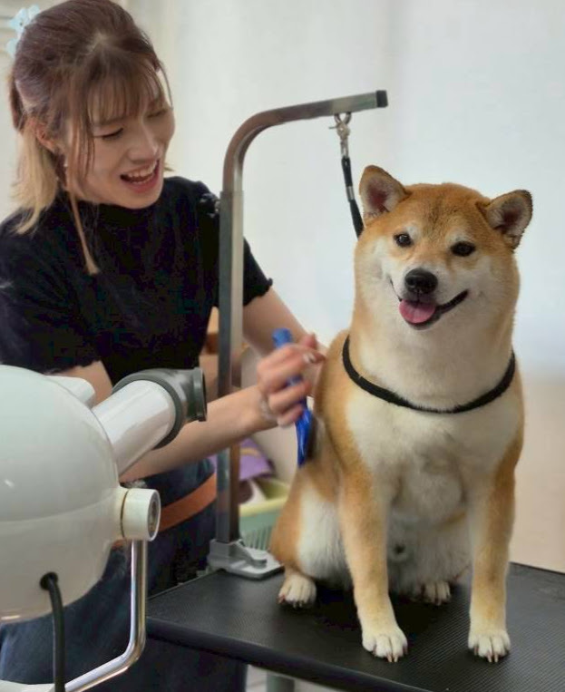 冷暖房完備のペット温泉&トリミングで抜け毛もスッキリ